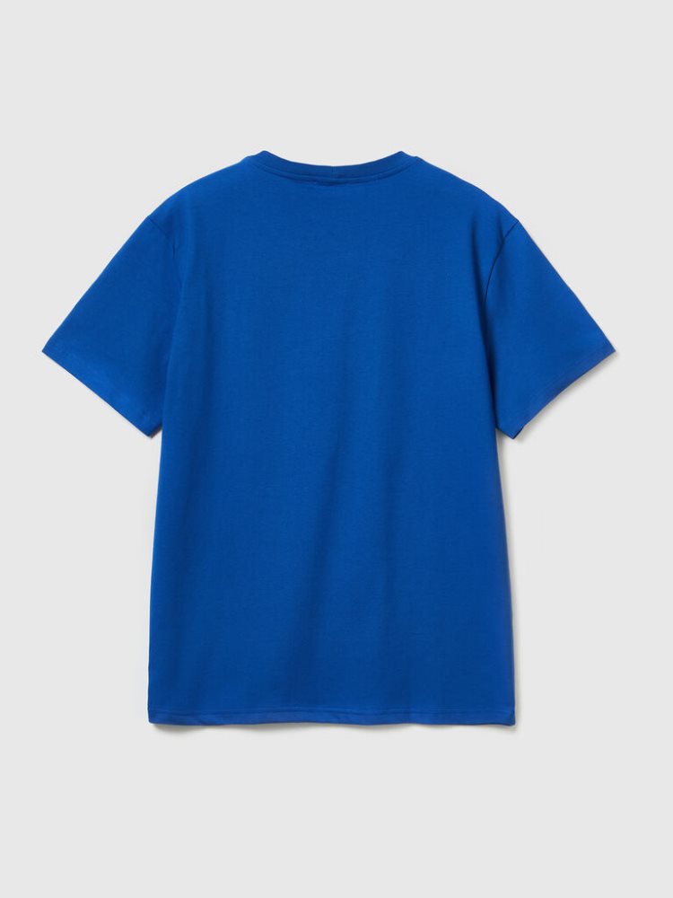 Benetton 100% Organic Katoenen Basic Short Sleeve T-shirts Heren Blauw | BE810261