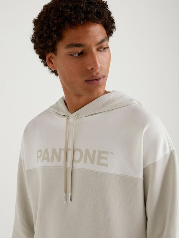 Benetton Benettonxpantone™ Hoodie Heren Lichtgrijs | BE401574