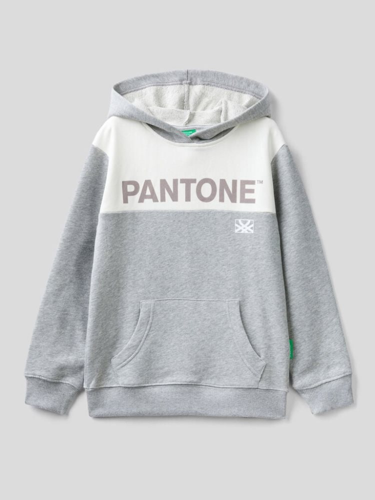 Benetton Benettonxpantone™ Hoodie Kinderen Grijs | BE952936