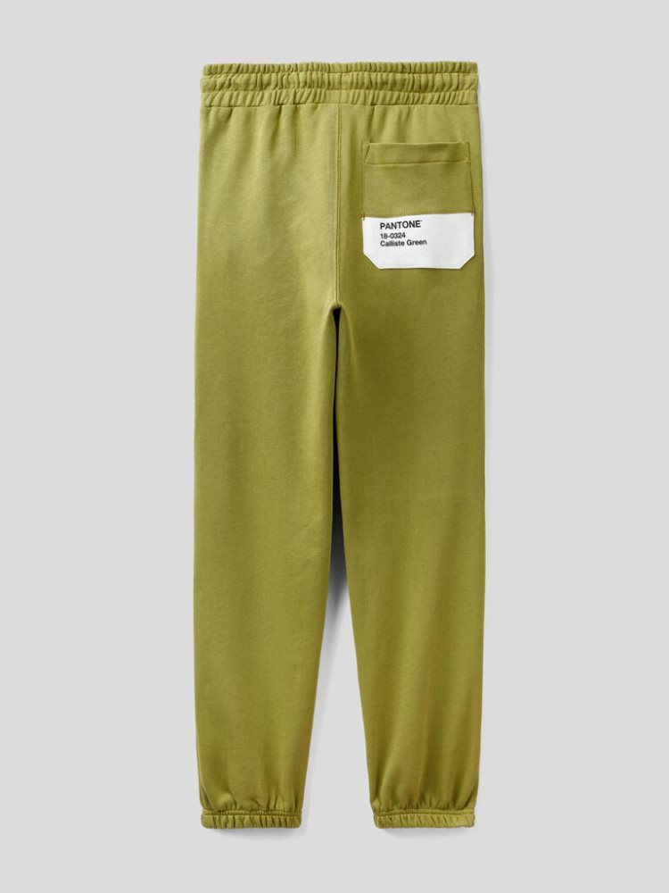 Benetton Benettonxpantone™ Joggers Dames Groen | BE498923