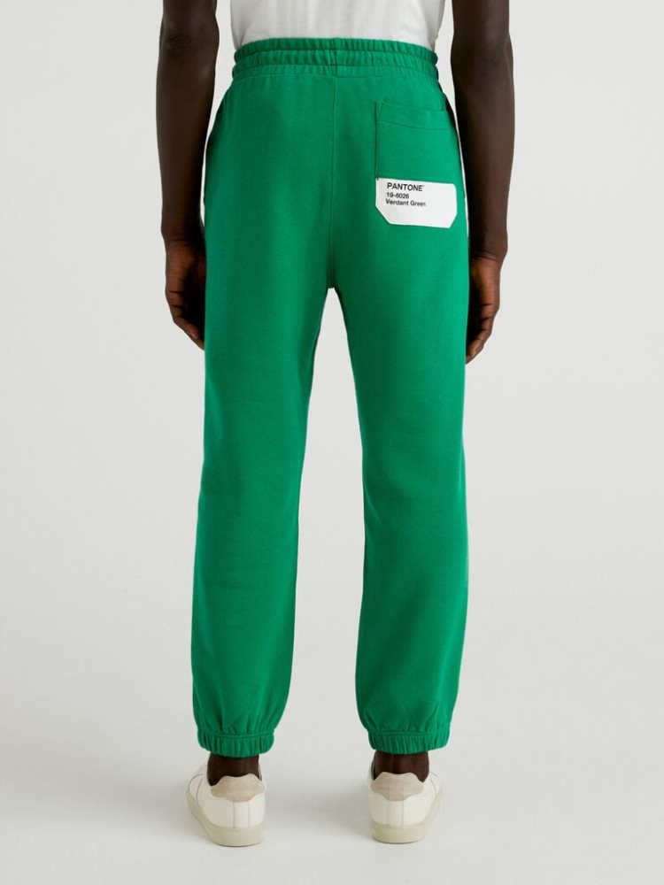 Benetton Benettonxpantone™ Joggers Heren Groen | BE332063