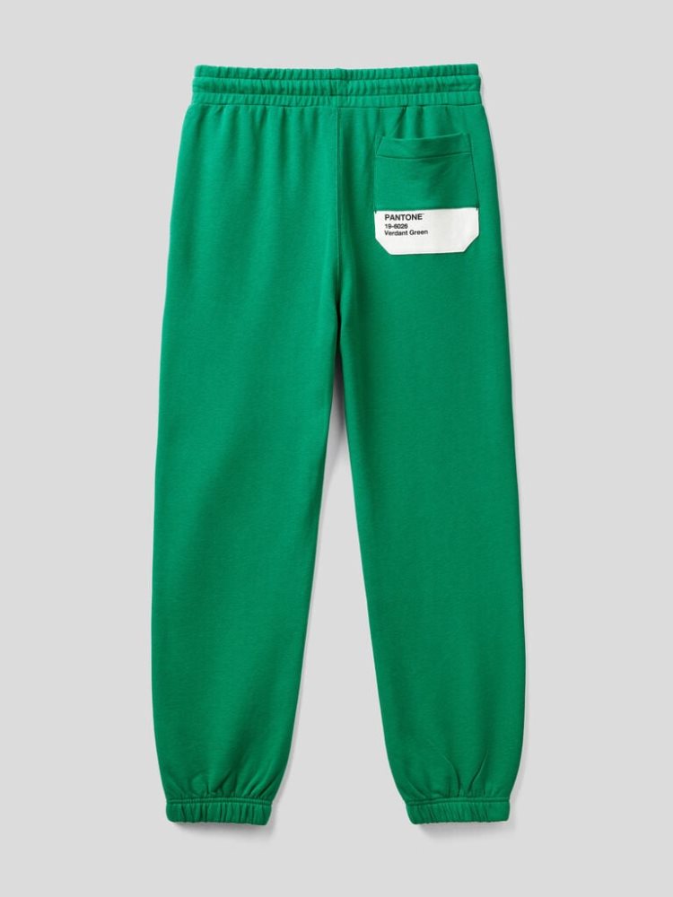 Benetton Benettonxpantone™ Joggers Heren Groen | BE332063