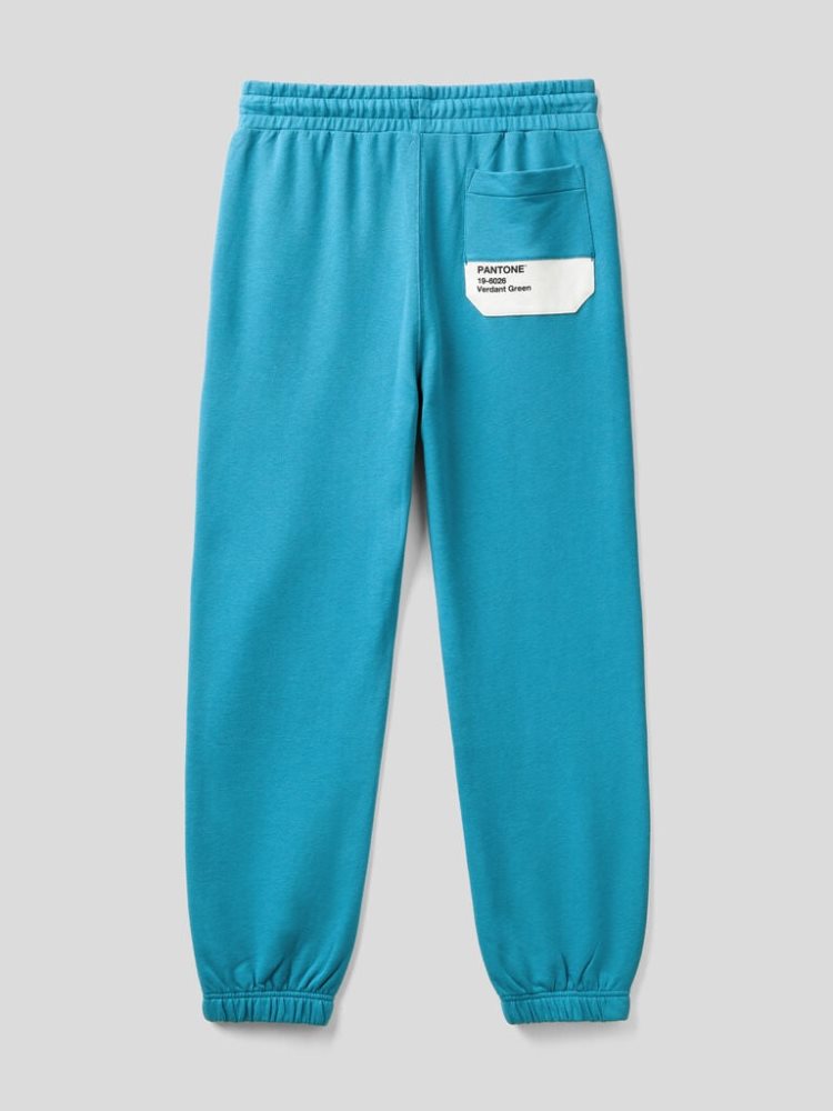 Benetton Benettonxpantone™ Joggers Heren Lichtblauw | BE476635