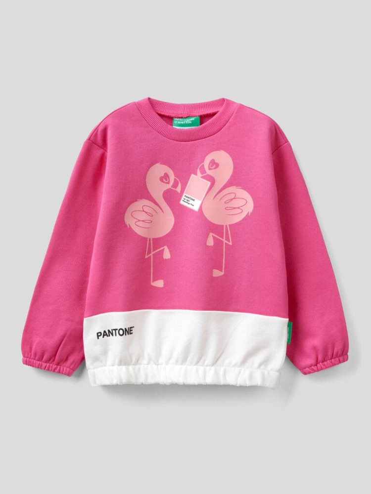 Benetton Benettonxpantone™ Print Sweatshirt Kinderen Fuchsie | BE591821