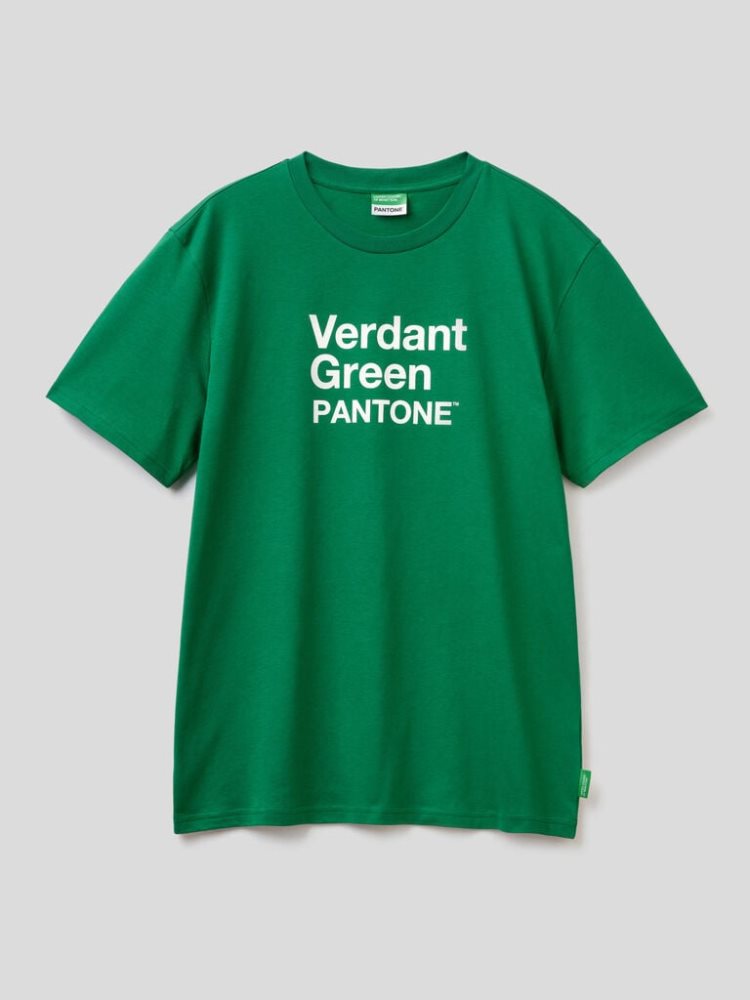 Benetton Benettonxpantone™ Short Sleeve T-shirts Heren Groen | BE942998