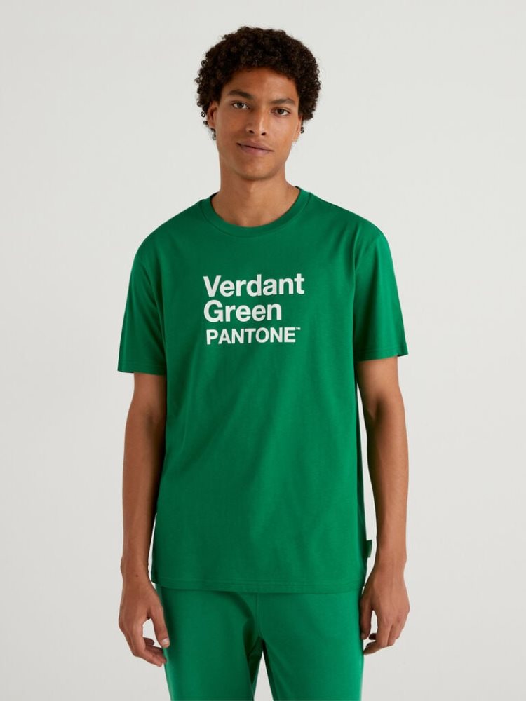 Benetton Benettonxpantone™ Short Sleeve T-shirts Heren Groen | BE942998