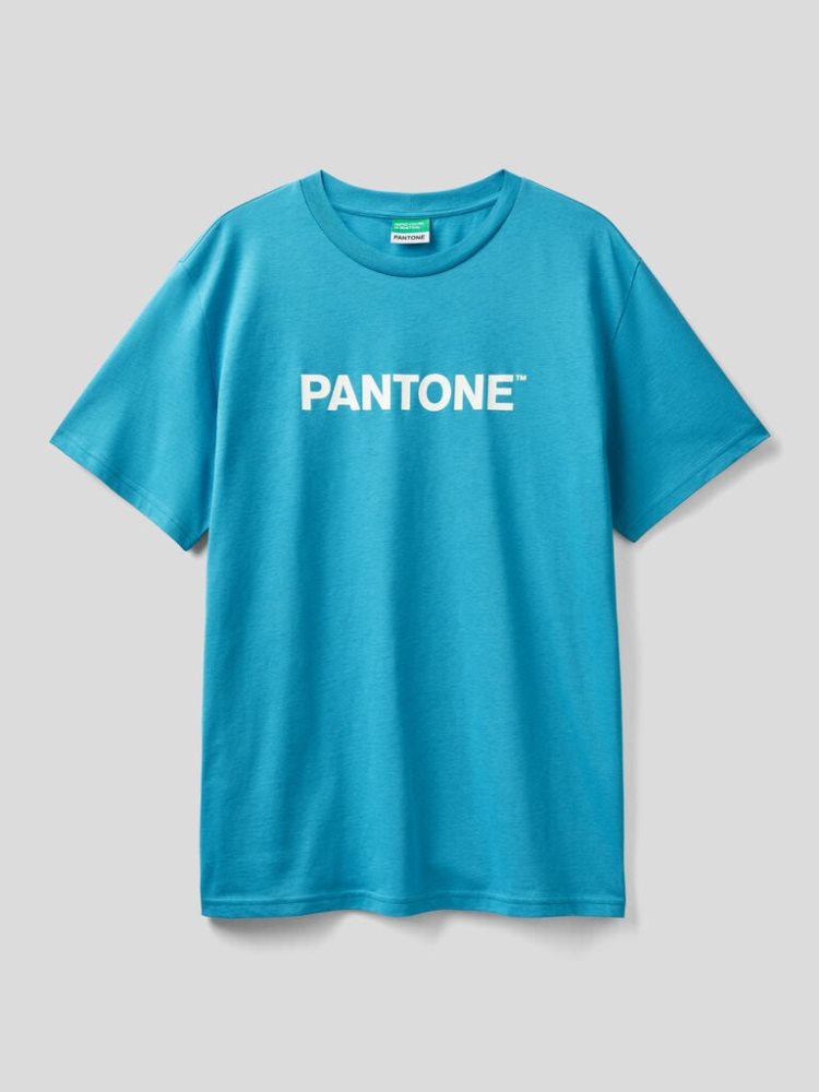 Benetton Benettonxpantone™ Short Sleeve T-shirts Heren Lichtblauw | BE956306