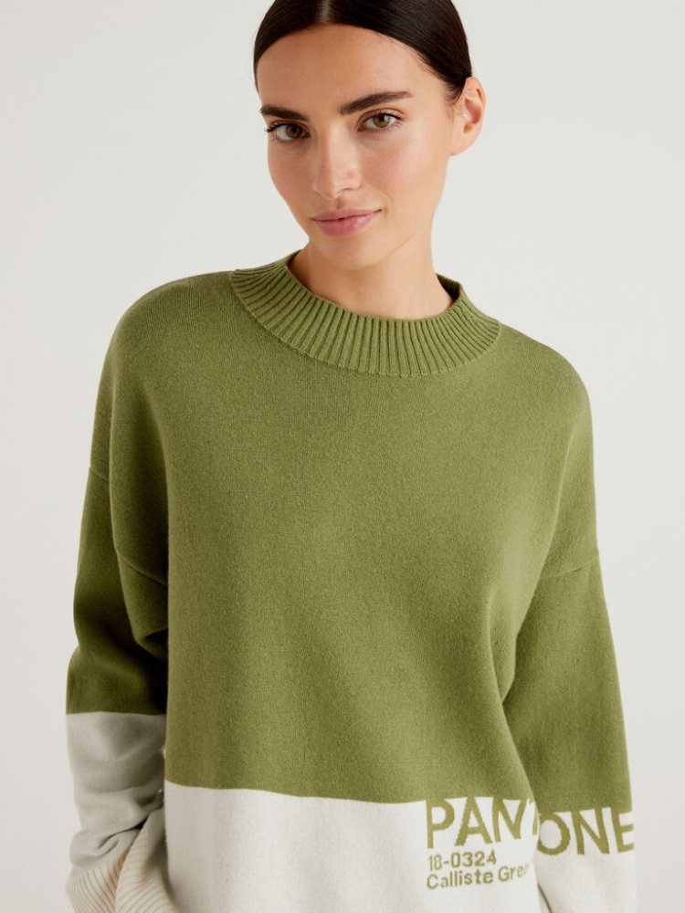 Benetton Benettonxpantone™ Turtleneck High Neck Sweaters Dames Groen | BE710766