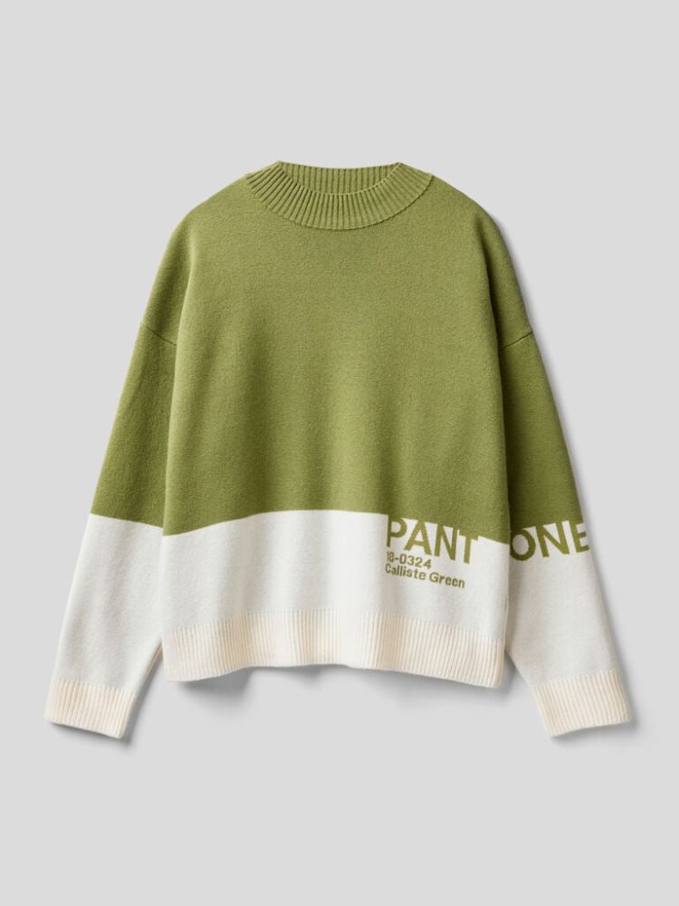 Benetton Benettonxpantone™ Turtleneck High Neck Sweaters Dames Groen | BE710766