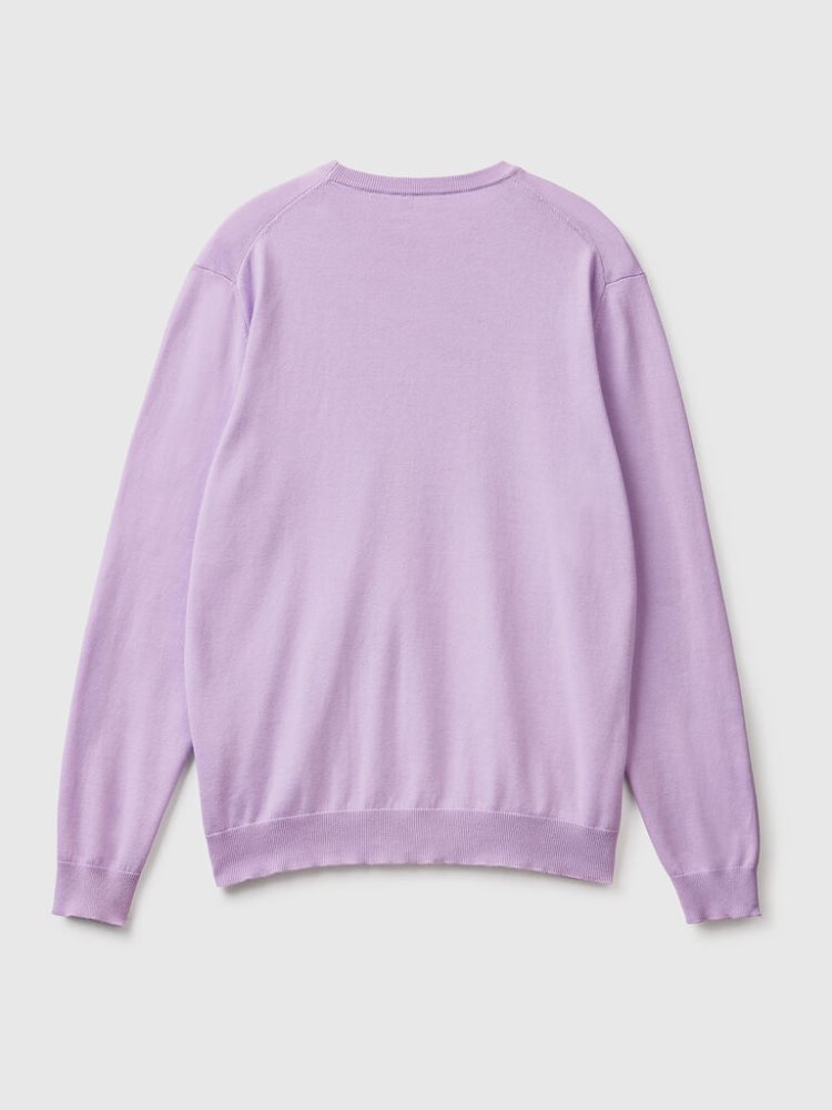 Benetton Crew Neck 100% Katoenen Truien Heren Lilac | BE034885