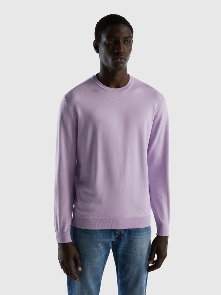 Benetton Crew Neck 100% Katoenen Truien Heren Lilac | BE034885