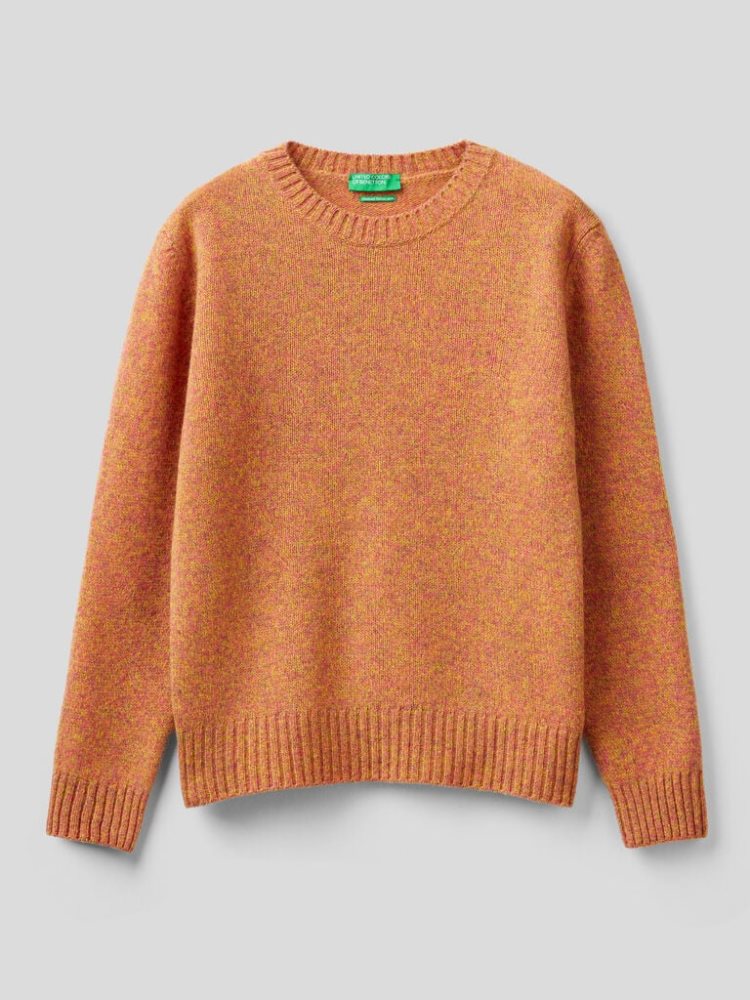 Benetton Pure Shetland Wol Crew Neck Sweaters Dames Oranje | BE742466