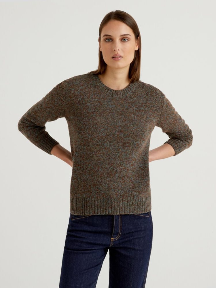 Benetton Pure Shetland Wol Crew Neck Sweaters Dames Bruin | BE794650